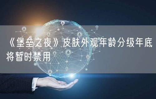 《堡垒之夜》皮肤外观年龄分级年底将暂时禁用