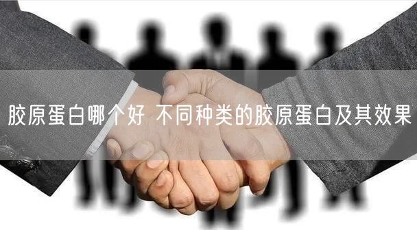 胶原蛋白哪个好 不同种类的胶原蛋白及其效果