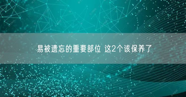 易被遗忘的重要部位 这2个该保养了