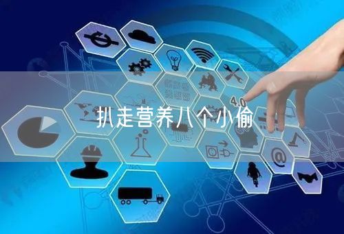扒走营养八个小偷