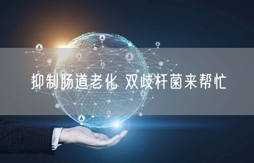 抑制肠道老化 双歧杆菌来帮忙